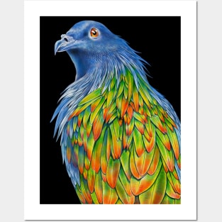 Nicobar Pigeon Posters and Art